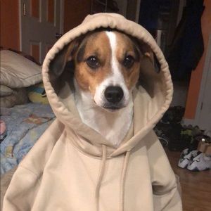 Meet your Posher, Bae